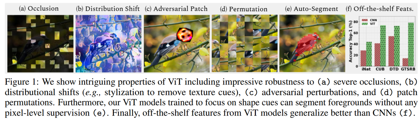 Intriguing Properties of Vision Transformers